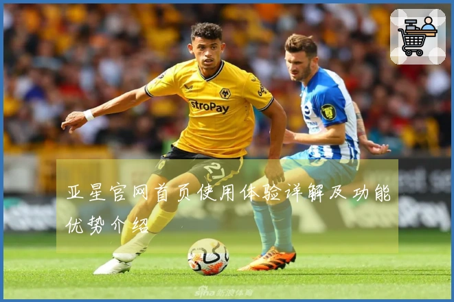 亚星官网首页使用体验详解及功能优势介绍