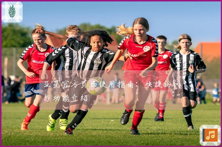 亚星官方页面使用指南：快捷访问与功能介绍